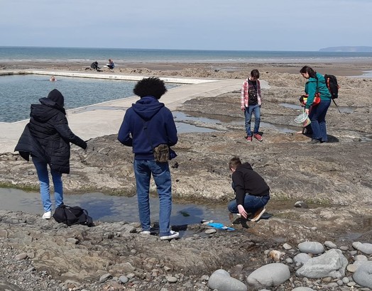 Rock pooling at wwh ebook listing