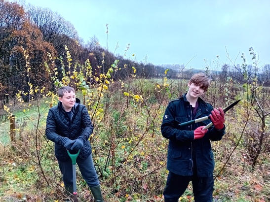 The start of the wee forest tidy up ebook listing