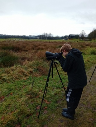 December bird watching ebook listing